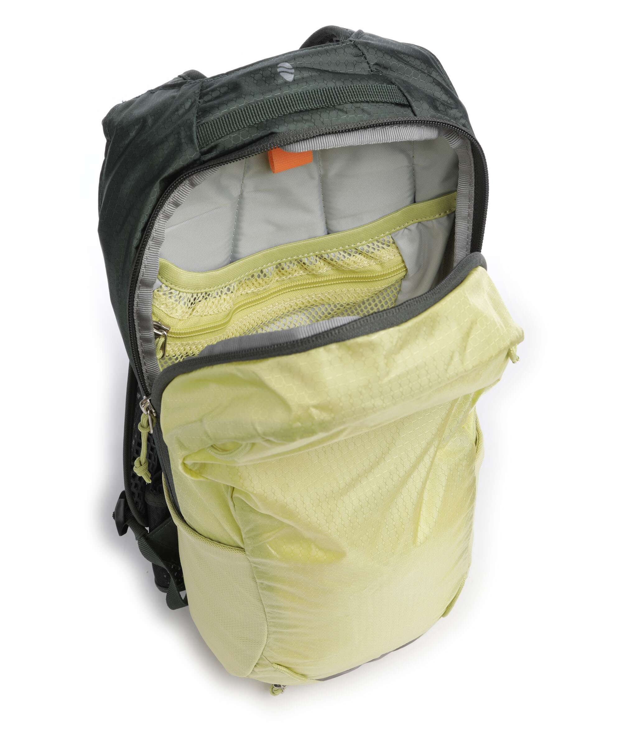 Deuter Race 8 Plecak sprout ivy - Image 4