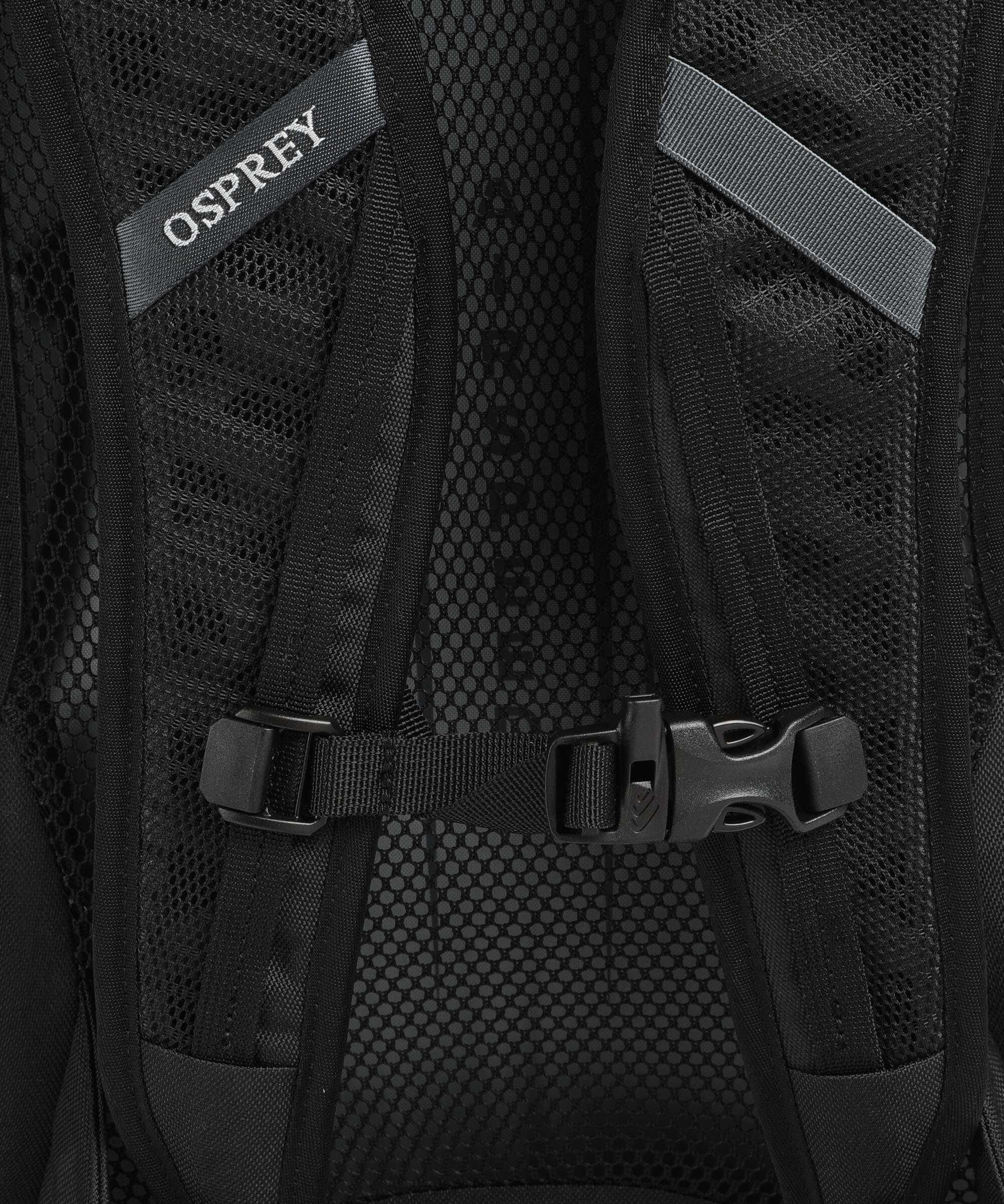 Osprey Hikelite 22 Plecak turystyczny silver lining - Image 3