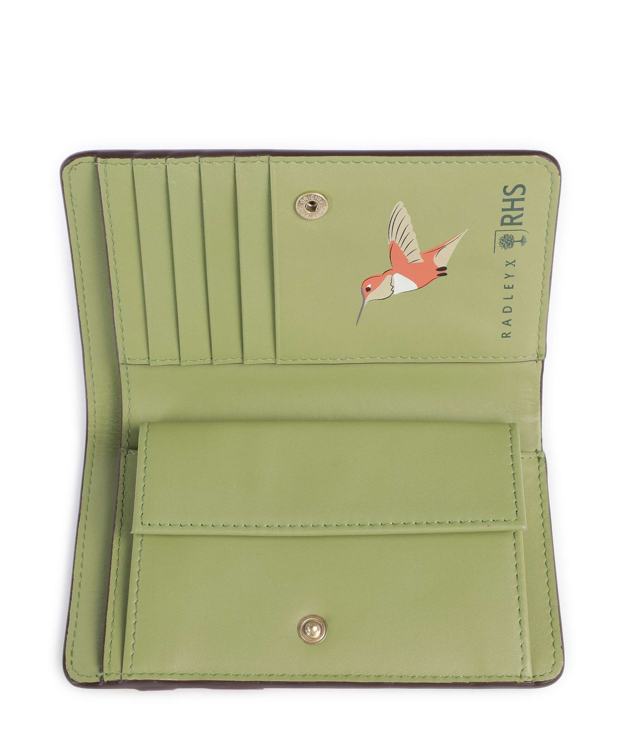 Radley London The Rhs Collection Portfel salt - Image 2